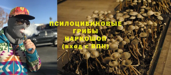 ГАЛЛЮЦИНОГЕННЫЕ ГРИБЫ Беломорск
