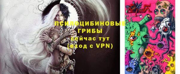 ГАЛЛЮЦИНОГЕННЫЕ ГРИБЫ Беломорск