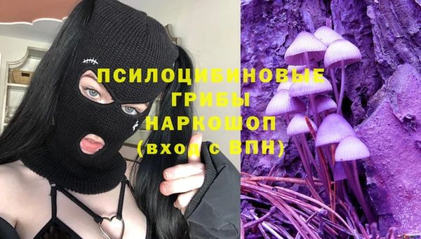 СК Белокуриха
