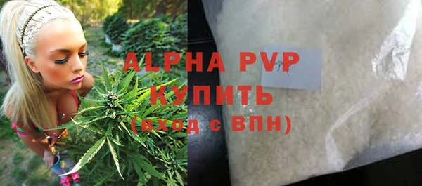 СК Белокуриха