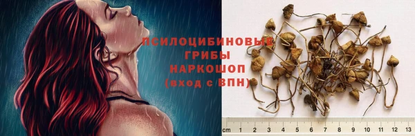 ГАЛЛЮЦИНОГЕННЫЕ ГРИБЫ Беломорск