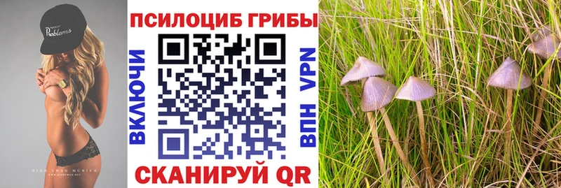 Псилоцибиновые грибы MAGIC MUSHROOMS Гусев