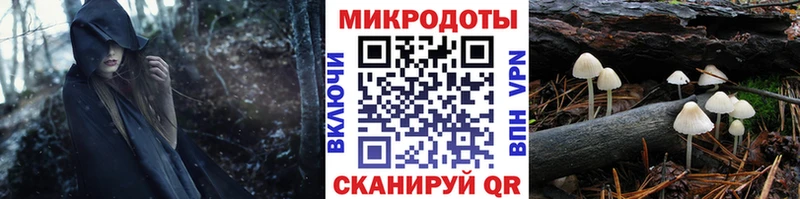 где продают наркотики  Гусев  даркнет телеграм  Галлюциногенные грибы мухоморы 