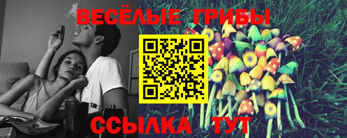 Галлюциногенные грибы GOLDEN TEACHER  Вход с VPN  Гусев 