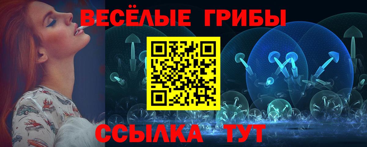 Псилоцибиновые грибы MAGIC MUSHROOMS Гусев